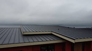 Best Storm Damage Roof Repair  in Niagara, WI